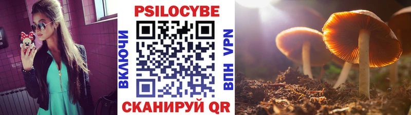 Галлюциногенные грибы GOLDEN TEACHER  Пермь 
